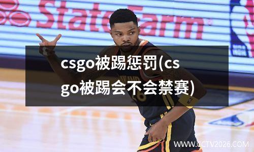 csgo被踢惩罚(csgo被踢会不会禁赛)