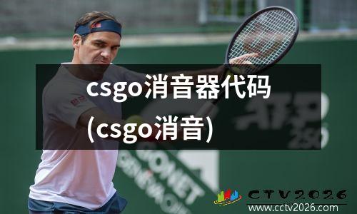 csgo消音器代码(csgo消音)