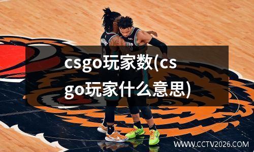 csgo玩家数(csgo玩家什么意思)