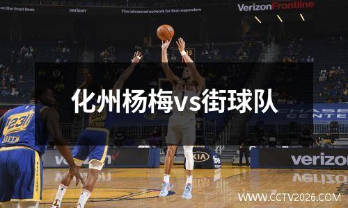 化州杨梅vs街球队