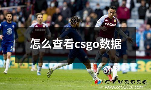 怎么查看csgo数据