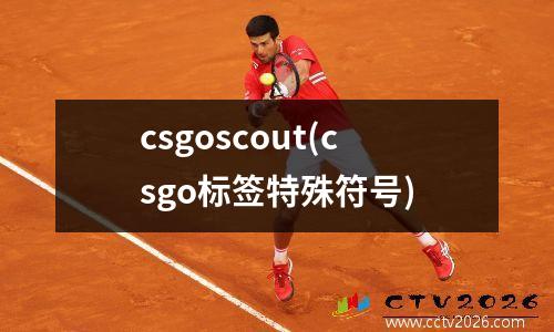 csgoscout(csgo标签特殊符号)