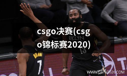 csgo决赛(csgo锦标赛2020)