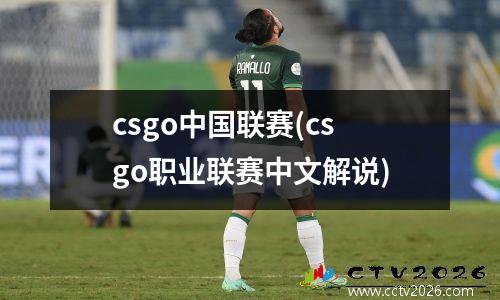 csgo中国联赛(csgo职业联赛中文解说)