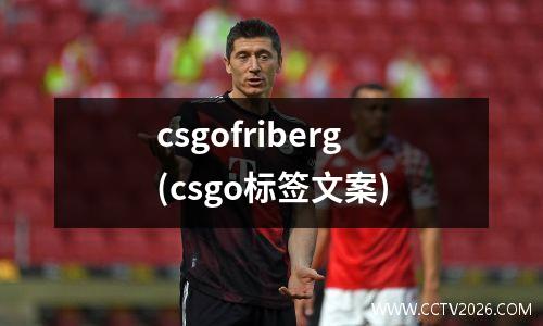 2012鲁能vs大连阿尔滨