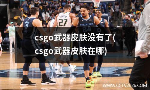 csgo武器皮肤没有了(csgo武器皮肤在哪)