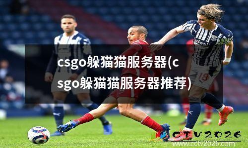 csgo躲猫猫服务器(csgo躲猫猫服务器推荐)