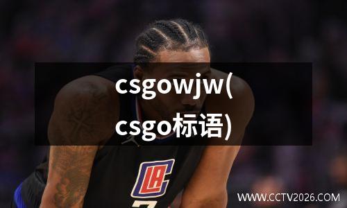 csgowjw(csgo标语)