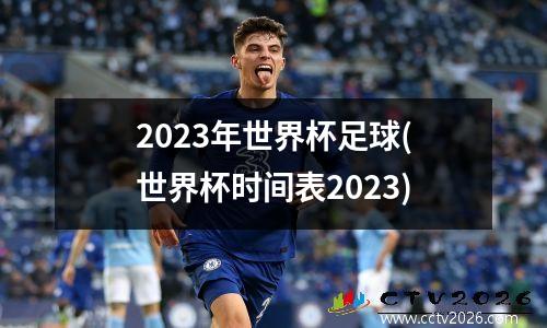 2023年世界杯足球(世界杯时间表2023)