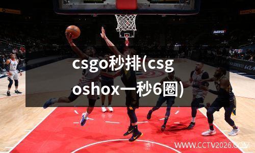 csgo秒排(csgoshox一秒6圈)