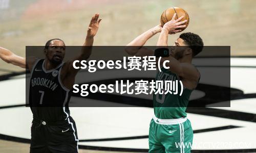 csgoesl赛程(csgoesl比赛规则)