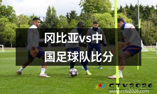 冈比亚vs中国足球队比分
