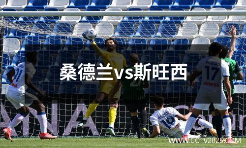 桑德兰vs斯旺西