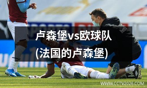 卢森堡vs欧球队(法国的卢森堡)