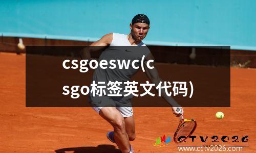 csgoeswc(csgo标签英文代码)