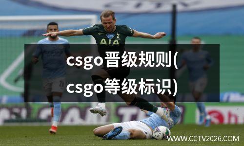 csgo晋级规则(csgo等级标识)