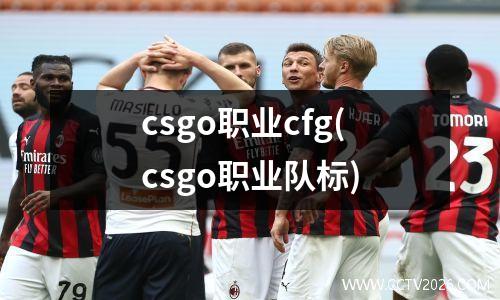 csgo职业cfg(csgo职业队标)