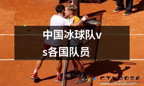 中国冰球队vs各国队员