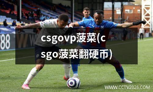 csgovp菠菜(csgo菠菜翻硬币)