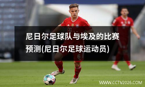 尼日尔足球队与埃及的比赛预测(尼日尔足球运动员)