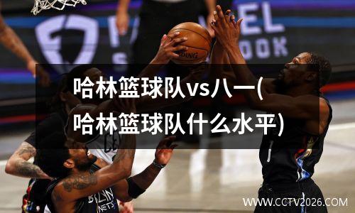 哈林篮球队vs八一(哈林篮球队什么水平)
