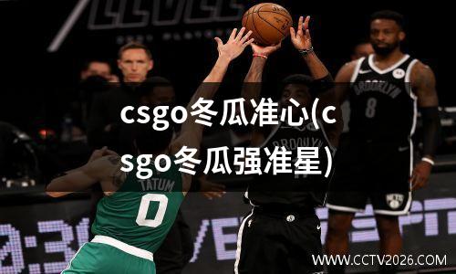 csgo冬瓜准心(csgo冬瓜强准星)