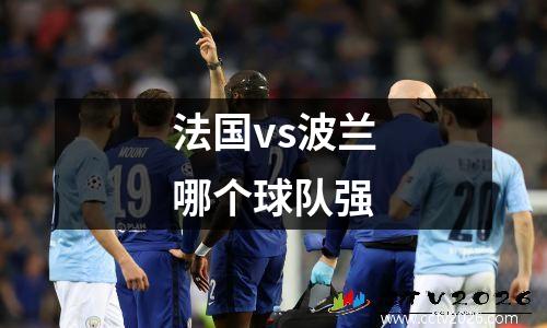 法国vs波兰哪个球队强