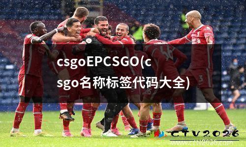csgoEPCSGO(csgo名称标签代码大全)