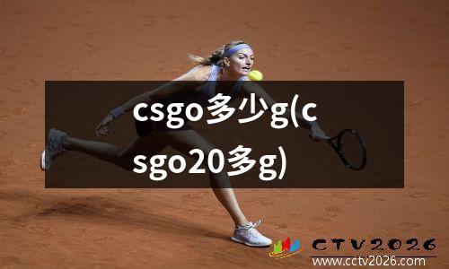 csgo多少g(csgo20多g)
