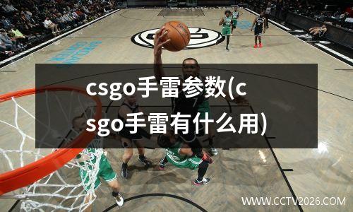 csgo手雷参数(csgo手雷有什么用)