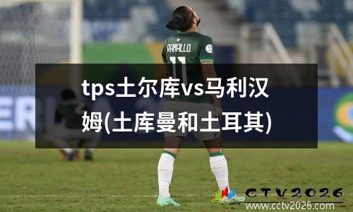 tps土尔库vs马利汉姆(土库曼和土耳其)