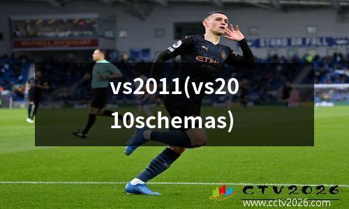 vs2011(vs2010schemas)