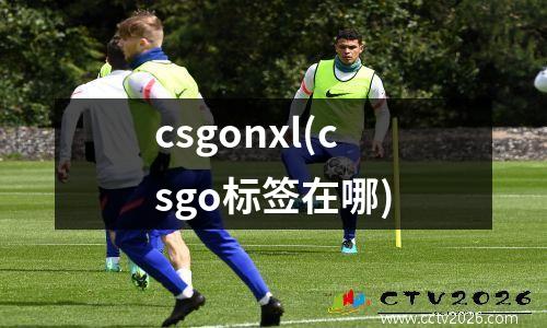 csgonxl(csgo标签在哪)