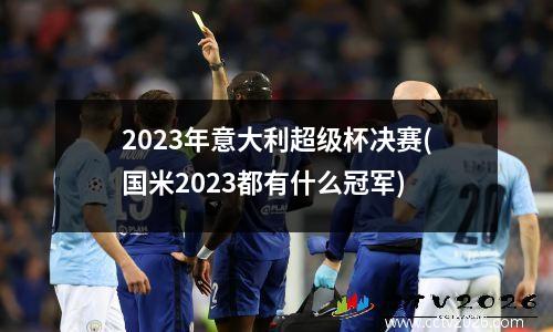 2023年意大利超级杯决赛(国米2023都有什么冠军)