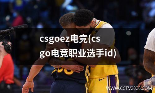 csgoez电竞(csgo电竞职业选手id)