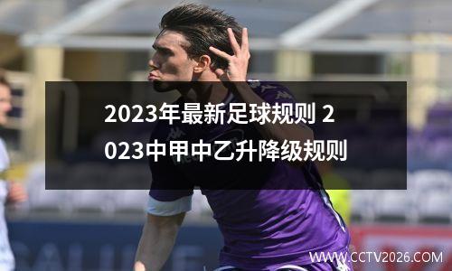 2023年最新足球规则 2023中甲中乙升降级规则