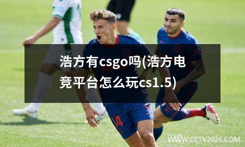 浩方有csgo吗(浩方电竞平台怎么玩cs1.5)