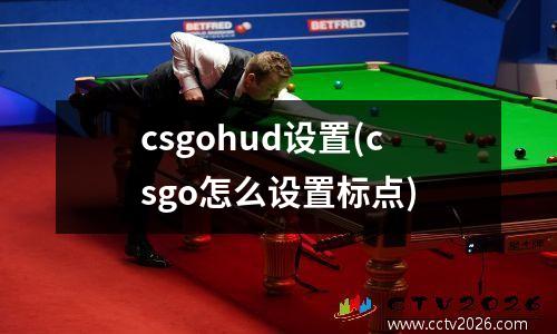 csgohud设置(csgo怎么设置标点)