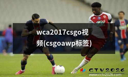 wca2017csgo视频(csgoawp标签)