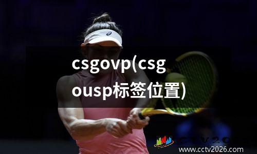 csgovp(csgousp标签位置)