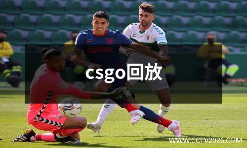 csgo回放