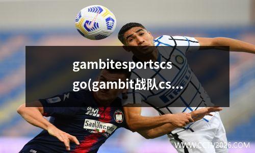 gambitesportscsgo(gambit战队csgo hobbit)