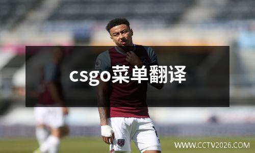 csgo菜单翻译