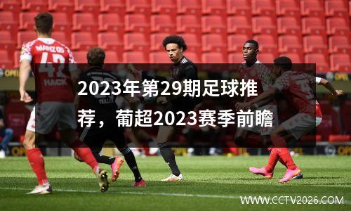 2023年第29期足球推荐，葡超2023赛季前瞻
