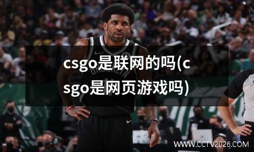 csgo是联网的吗(csgo是网页游戏吗)