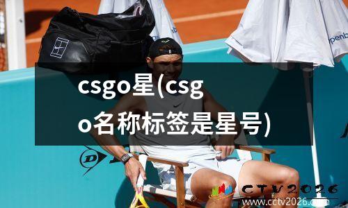 csgo星(csgo名称标签是星号)
