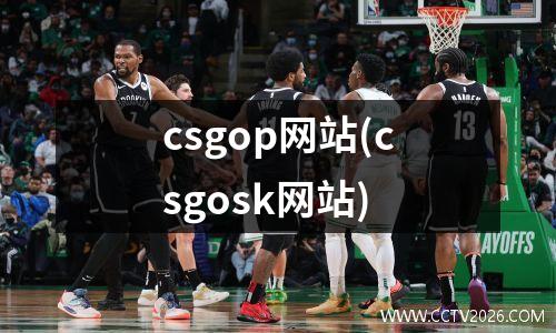 csgop网站(csgosk网站)
