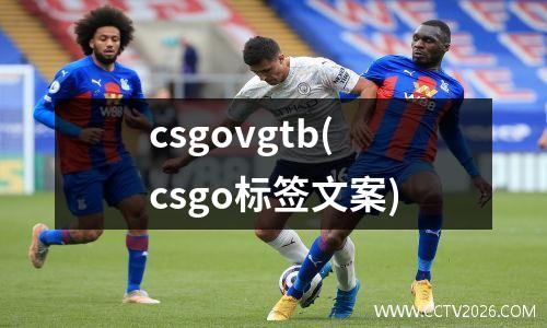 csgovgtb(csgo标签文案)