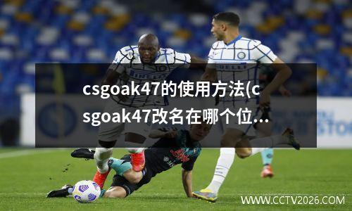 csgoak47的使用方法(csgoak47改名在哪个位置)