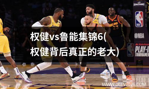 权健vs鲁能集锦6(权健背后真正的老大)